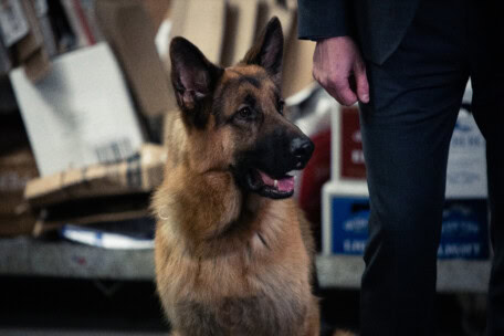 05_BetaFilm_Hudson_R_S01E04_copyright_Photos_by_Duncan_de_Young_for_Shaftesbury_and_Pope_Productions_Copyright_Shaftesbury_Pope_Productions