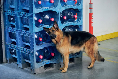 05_BetaFilm_Hudson_R_S01E11_copyright_Photos_by_Duncan_de_Young_for_Shaftesbury_and_Pope_Productions_Copyright_Shaftesbury_Pope_Productions