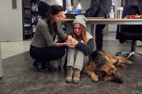 03_BetaFilm_Hudson_Rex_S02E01_copyright__Duncan_de_Young_for_Shaftesbury_and_Pope_Productions