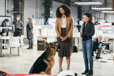 05_BetaFilm_Hudson_Rex_S02E09_copyright__Jessie_Brinkman_Evans_for_Shaftesbury_and_Pope_Productions