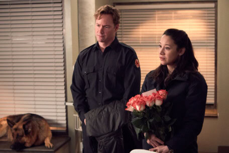 07_BetaFilm_Hudson_Rex_S02E13_copyright__Photos_by_Duncan_de_Young_for_Shaftesbury_and_Pope_Productions