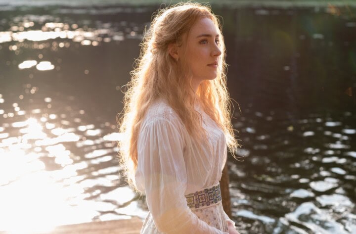 Seagull_D003_NR_0323.NEF