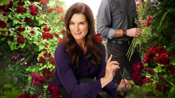 Flower Shop Mystery-Reihe